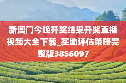 新澳门今晚开奖结果开奖直播视频大全下载_实地评估策略完整版38S6097