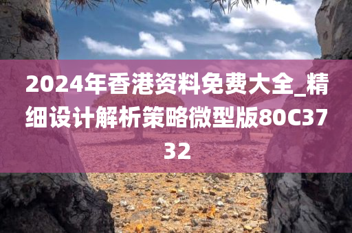 2024年香港资料免费大全_精细设计解析策略微型版80C3732