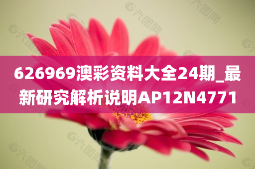 626969澳彩资料大全24期_最新研究解析说明AP12N4771