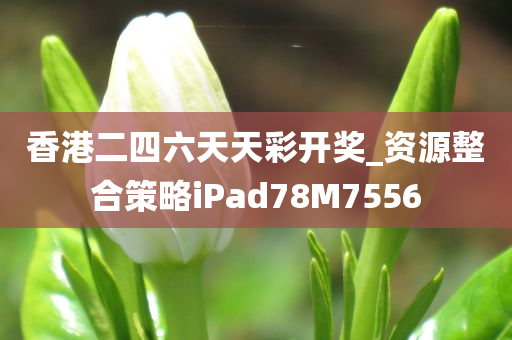 香港二四六天天彩开奖_资源整合策略iPad78M7556