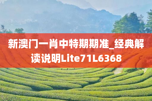 新澳门一肖中特期期准_经典解读说明Lite71L6368