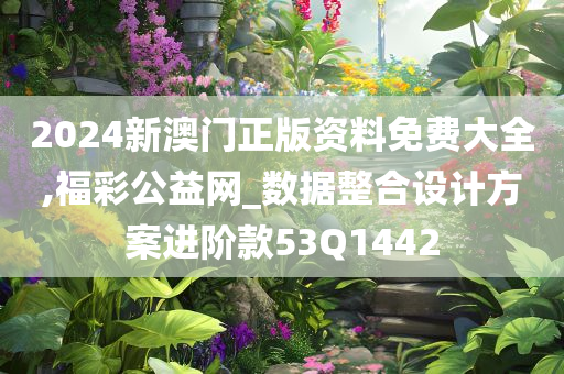 2024新澳门正版资料免费大全,福彩公益网_数据整合设计方案进阶款53Q1442