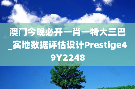 澳门今晚必开一肖一特大三巴_实地数据评估设计Prestige49Y2248