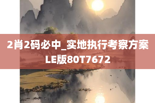 2肖2码必中_实地执行考察方案LE版80T7672