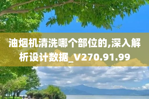 油烟机清洗哪个部位的,深入解析设计数据_V270.91.99