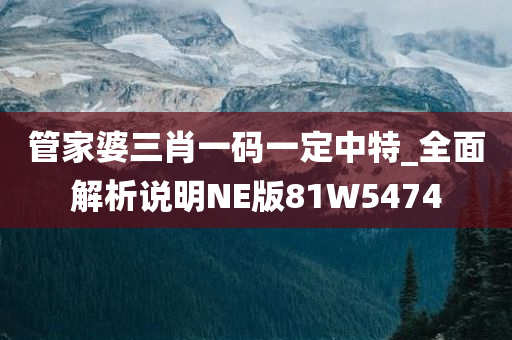 管家婆三肖一码一定中特_全面解析说明NE版81W5474