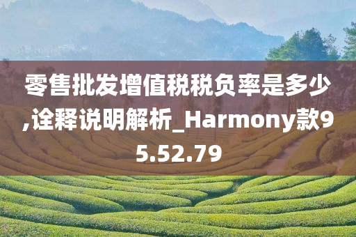 零售批发增值税税负率是多少,诠释说明解析_Harmony款95.52.79