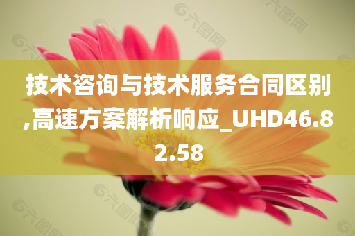 技术咨询与技术服务合同区别,高速方案解析响应_UHD46.82.58