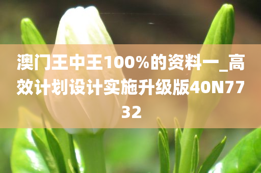 澳门王中王100%的资料一_高效计划设计实施升级版40N7732