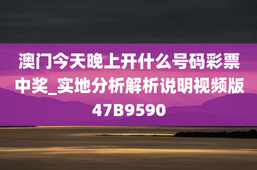 澳门今天晚上开什么号码彩票中奖_实地分析解析说明视频版47B9590