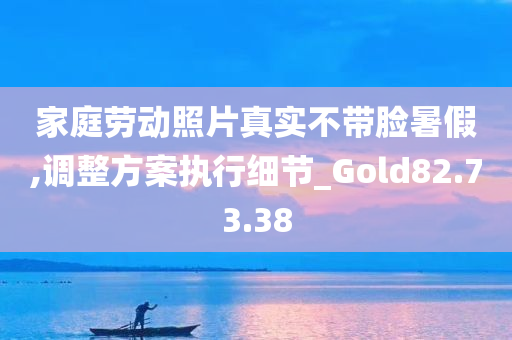 家庭劳动照片真实不带脸暑假,调整方案执行细节_Gold82.73.38