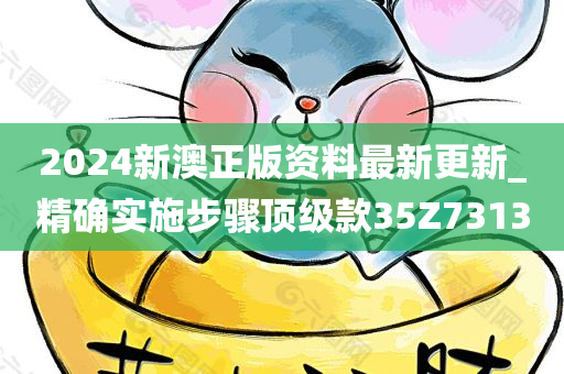 2024新澳正版资料最新更新_精确实施步骤顶级款35Z7313