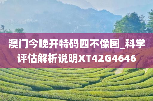 澳门今晚开特码四不像图_科学评估解析说明XT42G4646