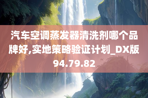 汽车空调蒸发器清洗剂哪个品牌好,实地策略验证计划_DX版94.79.82