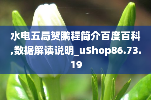 水电五局贺鹏程简介百度百科,数据解读说明_uShop86.73.19