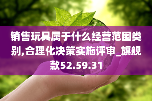 销售玩具属于什么经营范围类别,合理化决策实施评审_旗舰款52.59.31