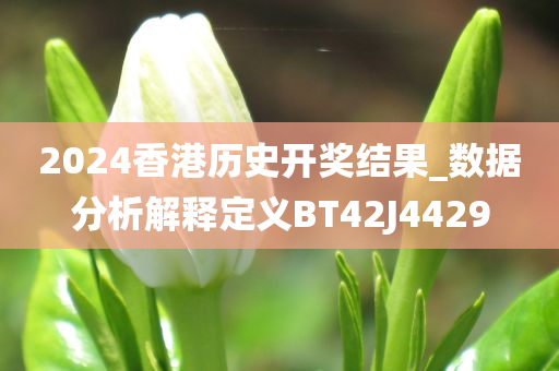 2024香港历史开奖结果_数据分析解释定义BT42J4429