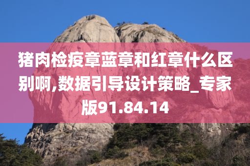 猪肉检疫章蓝章和红章什么区别啊,数据引导设计策略_专家版91.84.14