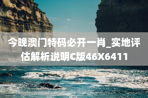 今晚澳门特码必开一肖_实地评估解析说明C版46X6411