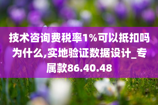 技术咨询费税率1%可以抵扣吗为什么,实地验证数据设计_专属款86.40.48