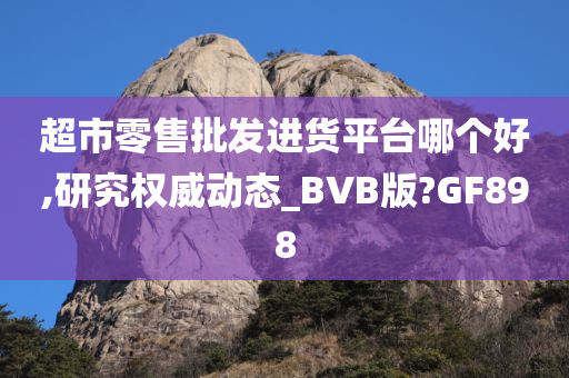 超市零售批发进货平台哪个好,研究权威动态_BVB版?GF898