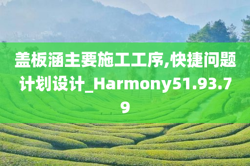 盖板涵主要施工工序,快捷问题计划设计_Harmony51.93.79