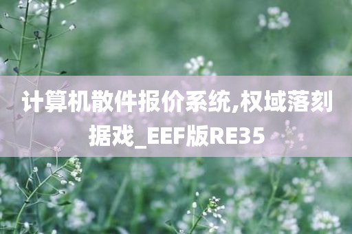 计算机散件报价系统,权域落刻据戏_EEF版RE35