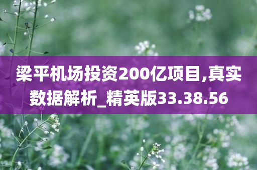 梁平机场投资200亿项目,真实数据解析_精英版33.38.56