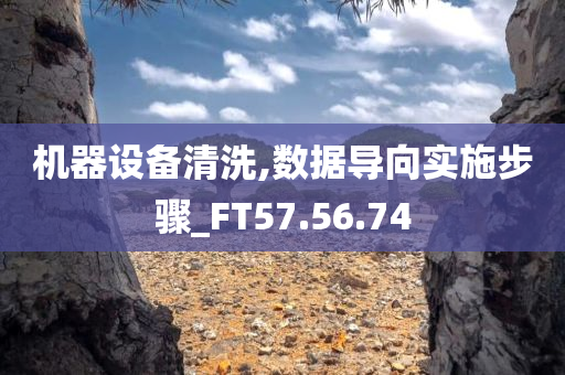 机器设备清洗,数据导向实施步骤_FT57.56.74