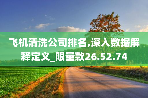 飞机清洗公司排名,深入数据解释定义_限量款26.52.74