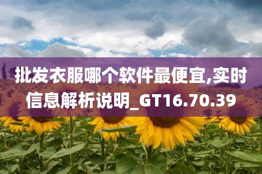 批发衣服哪个软件最便宜,实时信息解析说明_GT16.70.39