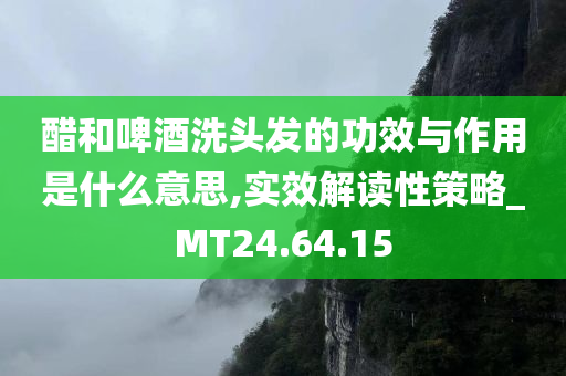 醋和啤酒洗头发的功效与作用是什么意思,实效解读性策略_MT24.64.15