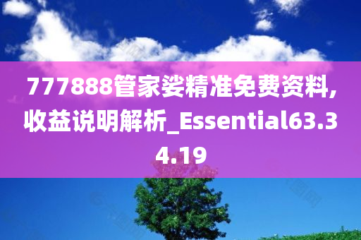 777888管家娑精准免费资料,收益说明解析_Essential63.34.19