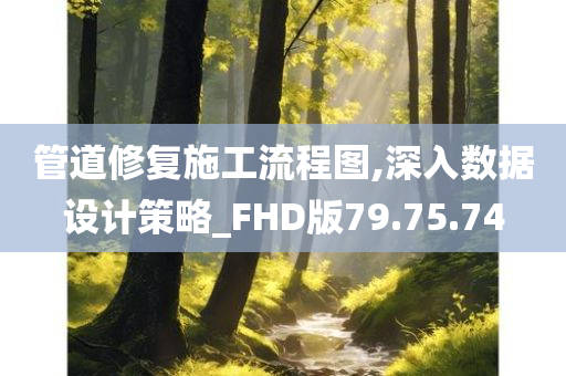 管道修复施工流程图,深入数据设计策略_FHD版79.75.74