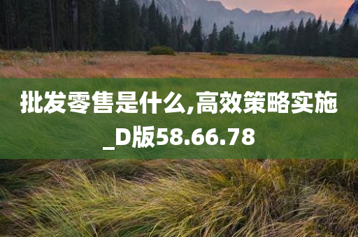 批发零售是什么,高效策略实施_D版58.66.78