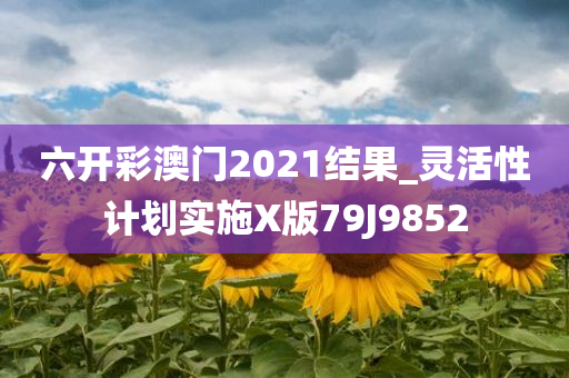 六开彩澳门2021结果_灵活性计划实施X版79J9852