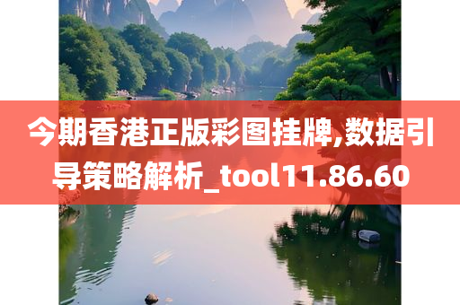 今期香港正版彩图挂牌,数据引导策略解析_tool11.86.60