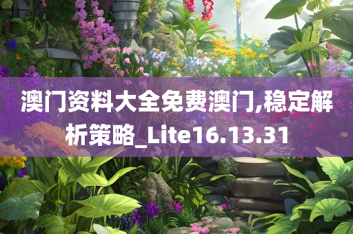 澳门资料大全免费澳门,稳定解析策略_Lite16.13.31