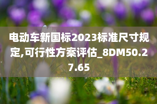 电动车新国标2023标准尺寸规定,可行性方案评估_8DM50.27.65