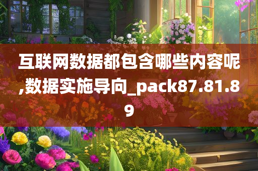 互联网数据都包含哪些内容呢,数据实施导向_pack87.81.89