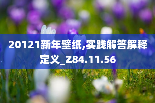 20121新年壁纸,实践解答解释定义_Z84.11.56