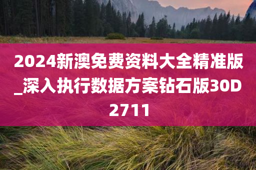 2024新澳免费资料大全精准版_深入执行数据方案钻石版30D2711