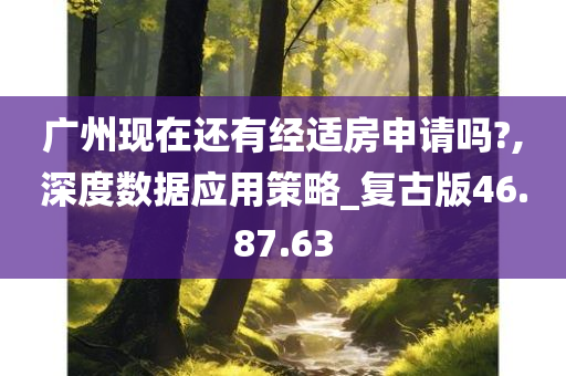 广州现在还有经适房申请吗?,深度数据应用策略_复古版46.87.63