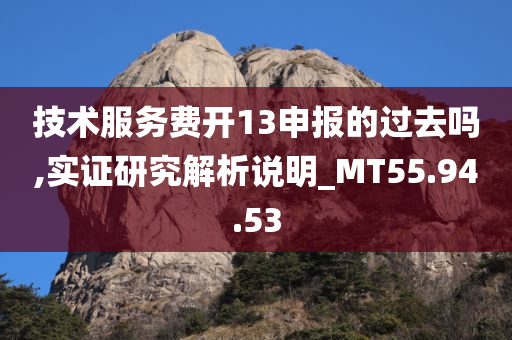 技术服务费开13申报的过去吗,实证研究解析说明_MT55.94.53