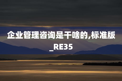 企业管理咨询是干啥的,标准版_RE35