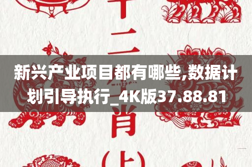 新兴产业项目都有哪些,数据计划引导执行_4K版37.88.81