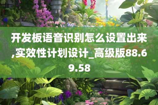 开发板语音识别怎么设置出来,实效性计划设计_高级版88.69.58