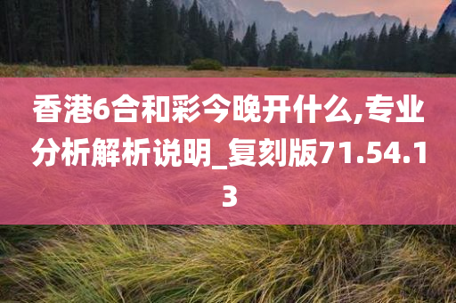 香港6合和彩今晚开什么,专业分析解析说明_复刻版71.54.13