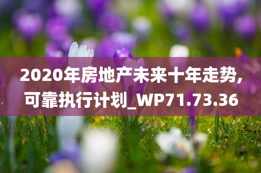 2020年房地产未来十年走势,可靠执行计划_WP71.73.36