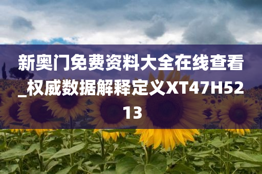 新奥门免费资料大全在线查看_权威数据解释定义XT47H5213